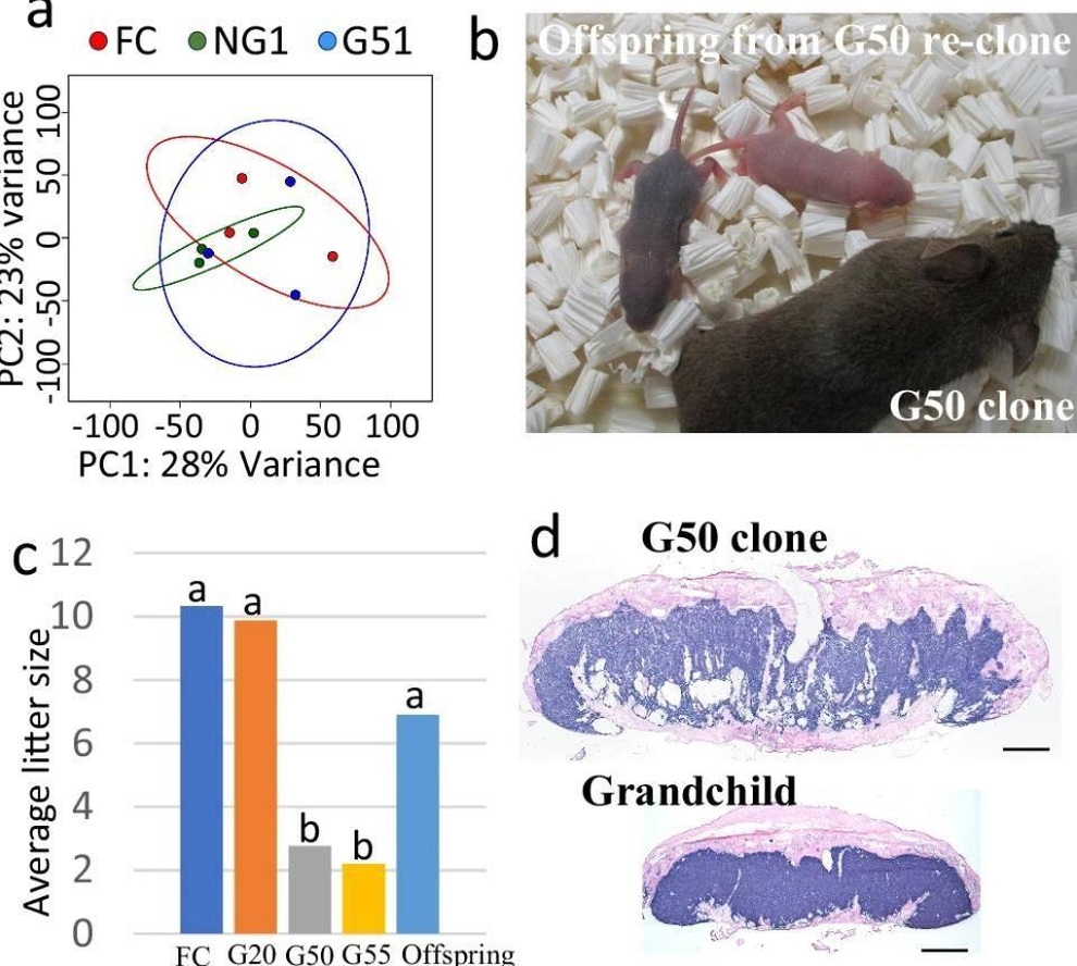 Sự thật gây sốc từ nghiên cứu 20 năm về nhân bản vô hạn để bất tử - 3