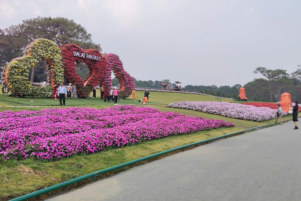 Yêu cầu làm rõ hoạt động chạy xe điện tại công viên hoa ở Đà Lạt - 1