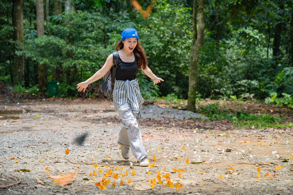 Khách Hà Nội dậy từ 4h, di chuyển 100km đến Cúc Phương chụp ảnh với bướm - 3