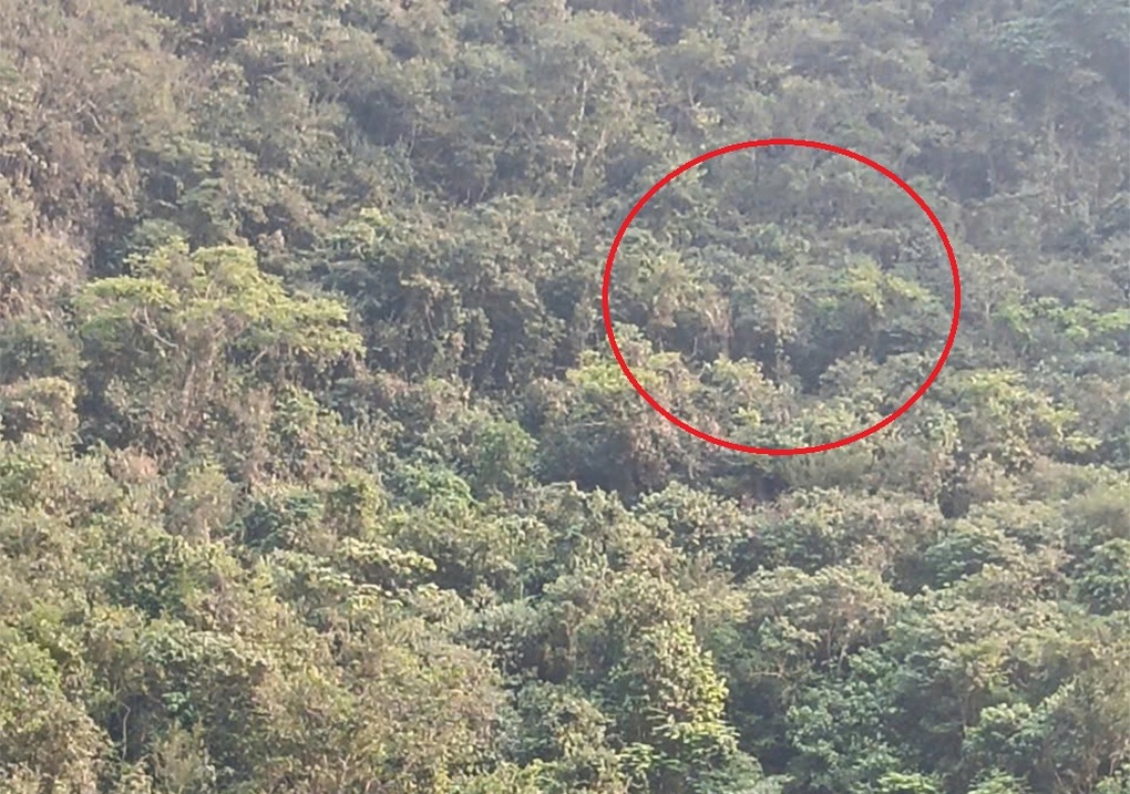 Tìm thấy thi thể thợ điêu khắc lăng mộ ở nơi địa hình dốc đứng, hiểm trở - 1 Tìm thấy thi thể thợ điêu khắc lăng mộ ở nơi địa hình dốc đứng, hiểm trở - 1