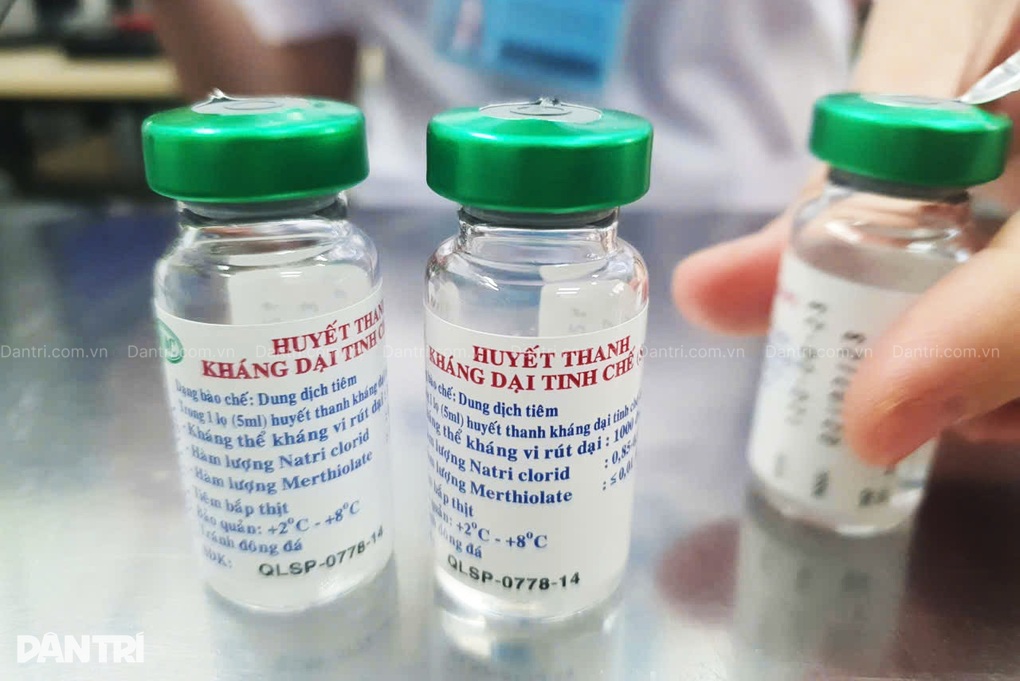 Nhiều người bị chuột cắn phải vào viện tiêm phòng dại - 1 Nhiều người bị chuột cắn phải vào viện tiêm phòng dại - 1