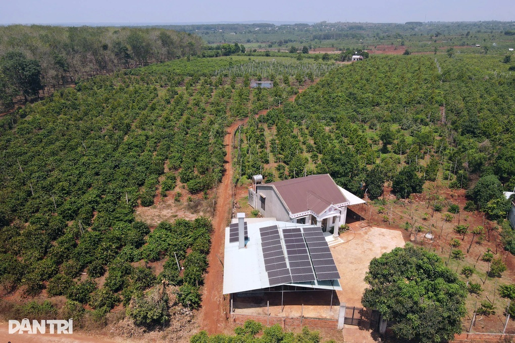 Xăng dầu tăng đúng cao điểm mùa khô, nông dân Tây Nguyên chật vật xoay - 2