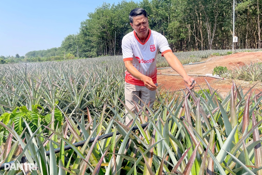 Xăng dầu tăng đúng cao điểm mùa khô, nông dân Tây Nguyên chật vật xoay - 3