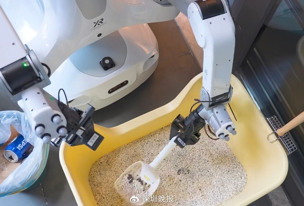 Robot giúp việc gia đình vừa vào việc đã nhận kín lịch ngay ngày đầu - 1