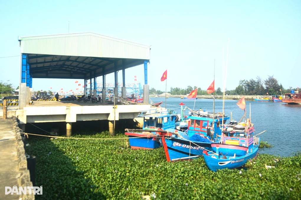 Cảnh đìu hiu ở cảng cá được đầu tư 120 tỷ đồng - 1 Cảnh đìu hiu ở cảng cá được đầu tư 120 tỷ đồng - 1