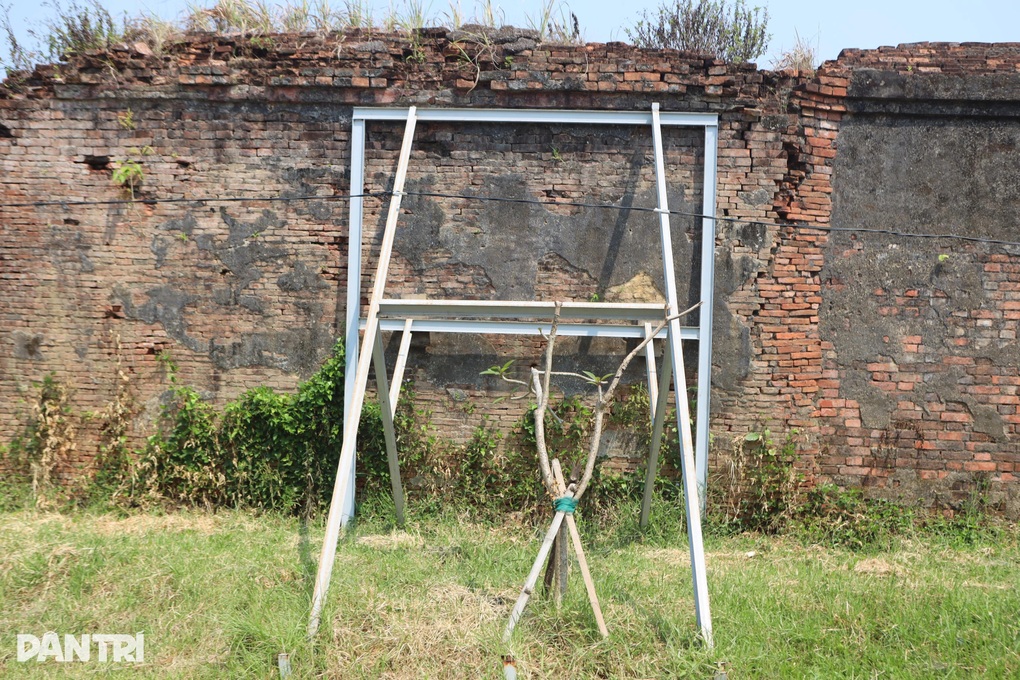 Lý do chưa khắc phục xong đoạn tường Hoàng thành Huế bị sập - 3 Lý do chưa khắc phục xong đoạn tường Hoàng thành Huế bị sập - 3