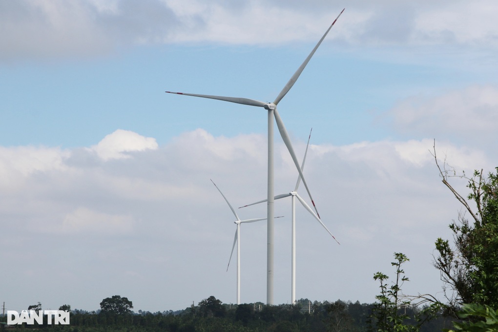 Doanh nghiệp điện mặt trời phân hóa mạnh: Kẻ báo lỗ, người lãi đậm - 1 Doanh nghiệp điện mặt trời phân hóa mạnh: Kẻ báo lỗ, người lãi đậm - 1