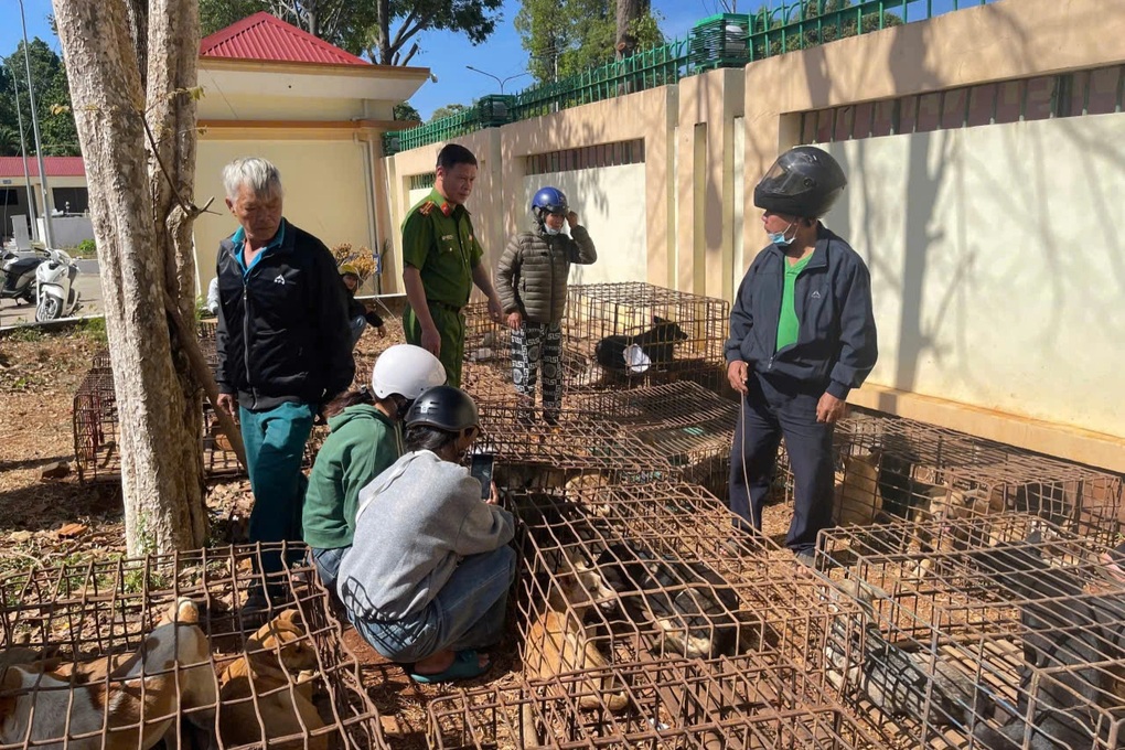 Vụ công an thông tin tìm chủ cho 70 con chó bị trộm: Bắt 2 đối tượng - 2 Vụ công an thông tin tìm chủ cho 70 con chó bị trộm: Bắt 2 đối tượng - 2