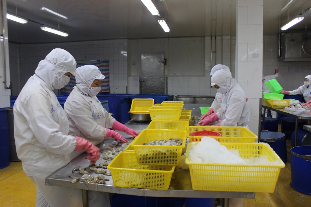 Doanh nghiệp tìm cửa sáng tại Trung Đông giữa biến động địa chính trị - 1