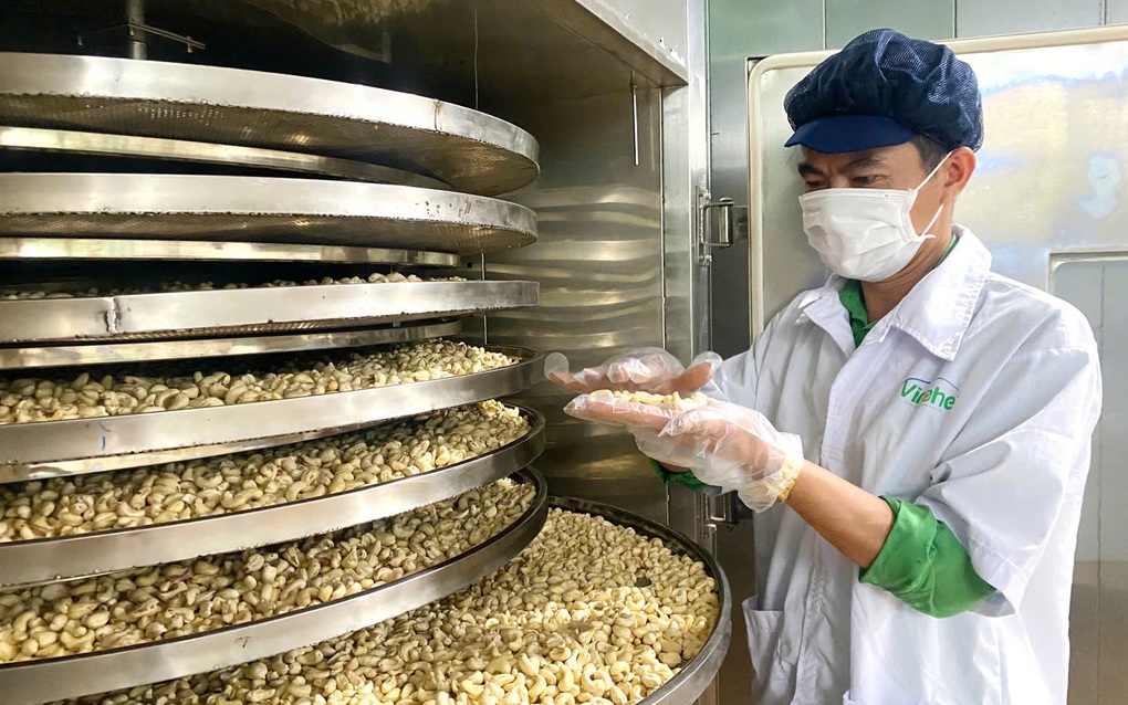 Doanh nghiệp tìm cửa sáng tại Trung Đông giữa biến động địa chính trị - 2