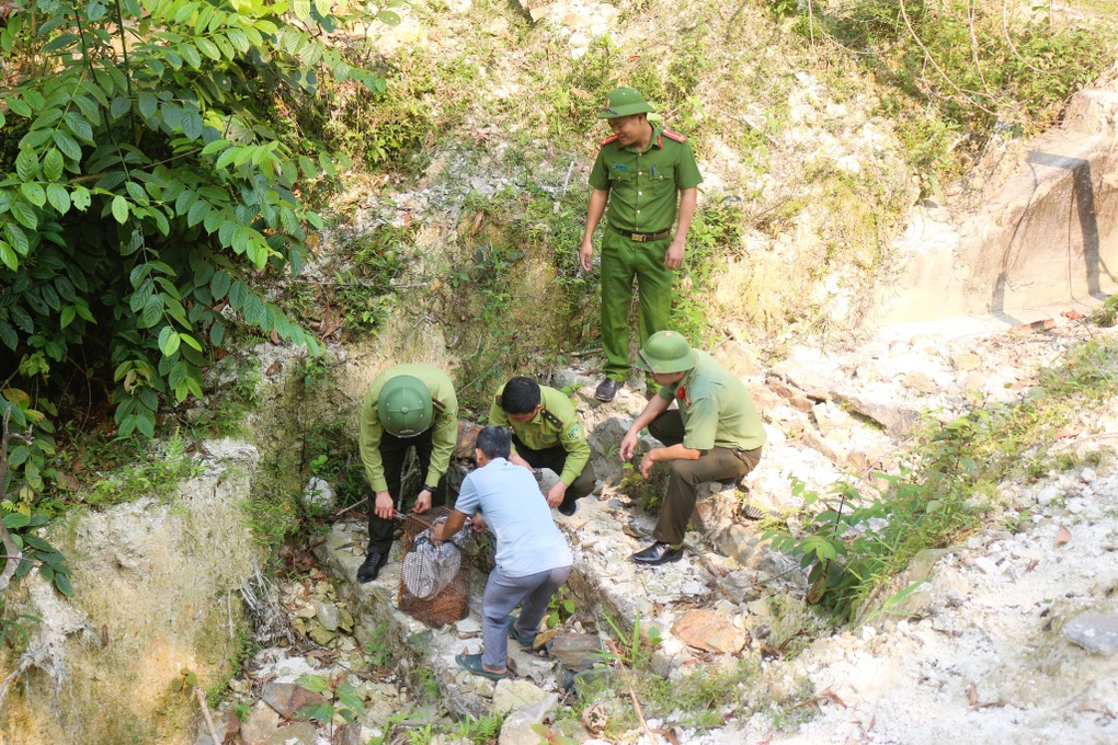 Phát hiện rắn hổ mang chúa dài 2,6m bò vào nhà - 2