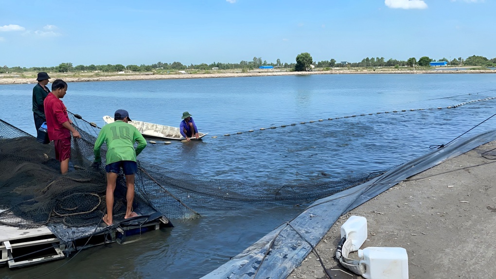 Australia chi 1,6 triệu AUD giúp Việt Nam xử lý thách thức về nông nghiệp - 1