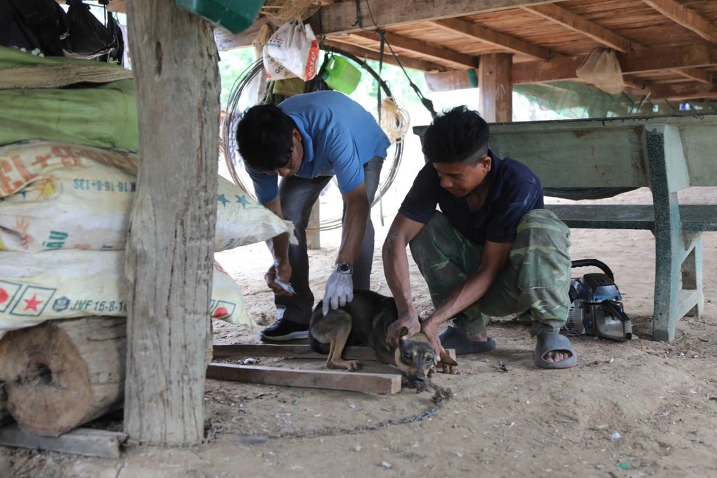 Nghi bị chó dại cắn, người đàn ông vẫn từ chối tiêm phòng - 1