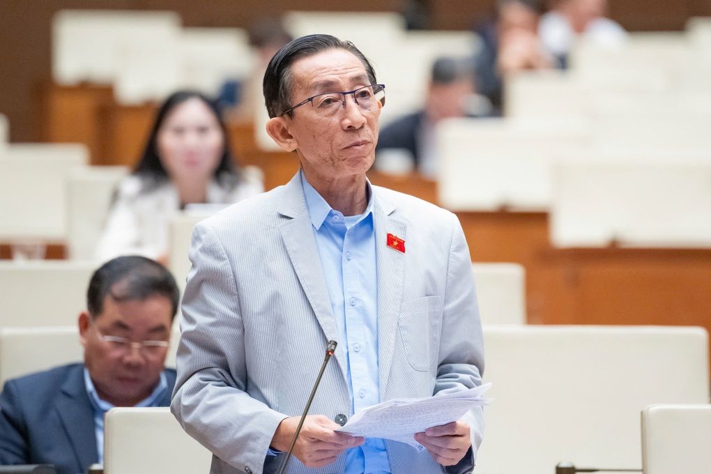 Đại biểu Quốc hội đề nghị kéo dài thời gian giảm thuế xăng, dầu - 1