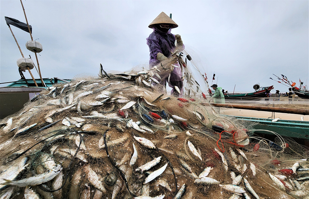 Mùa lộc biển: Săn 'bạc xanh' trên sóng biển- Ảnh 1.