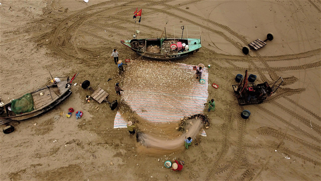 Mùa lộc biển: Săn 'bạc xanh' trên sóng biển- Ảnh 4.