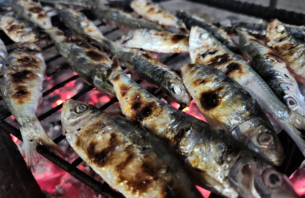 Mùa lộc biển: Săn 'bạc xanh' trên sóng biển- Ảnh 7.