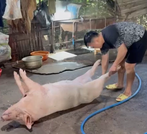 Đột kích 2 lò giết mổ heo trái phép trong hẻm sâu ở TP.HCM - Ảnh 4.