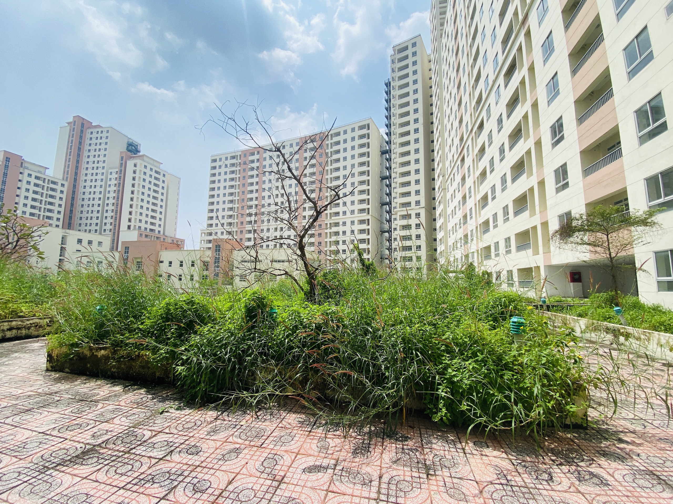 Để tránh lãng phí, nhà đất tái định cư bỏ hoang sẽ bị 'thu hồi' - Ảnh 1.