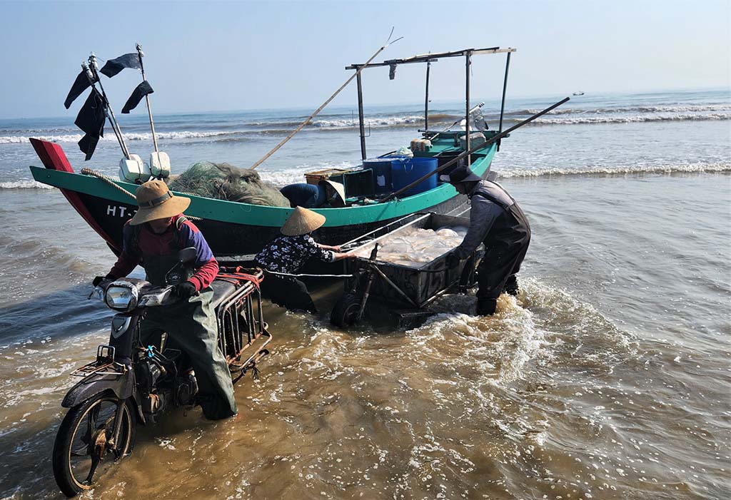 Mùa lộc biển: Những khoang thuyền chở 'vàng trắng' về bờ - Ảnh 2.