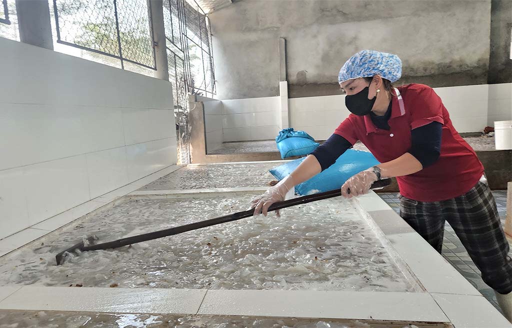 Mùa lộc biển: Những khoang thuyền chở 'vàng trắng' về bờ - Ảnh 7.