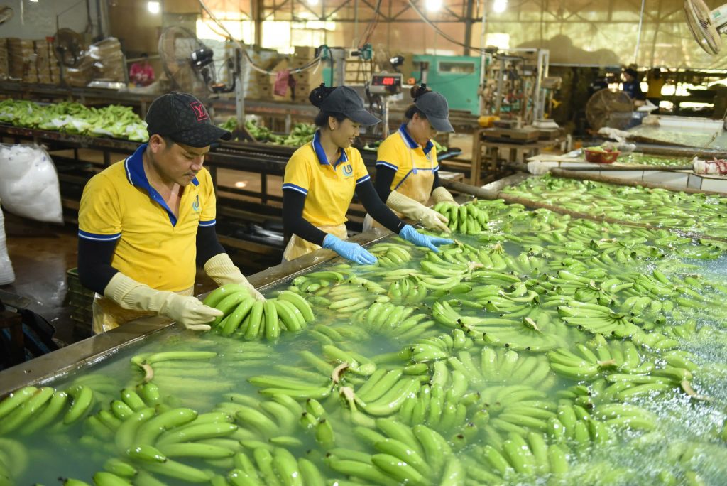 VRG kiến tạo giá trị bền vững - Ảnh 5.