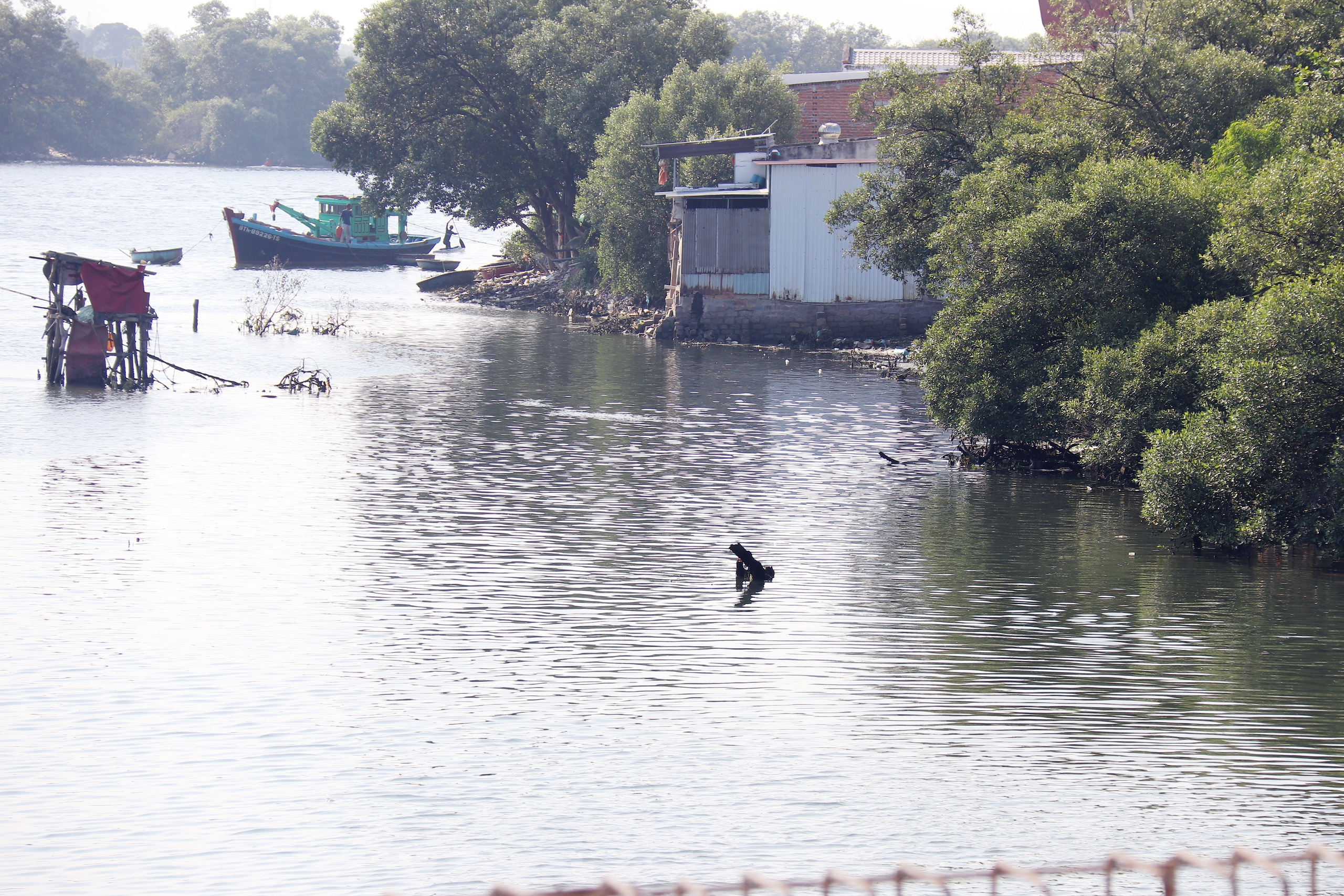 Cầu Văn Thánh bắc qua sông Cà Ty: Vì sao phải xây từ giữa sông? - Ảnh 8.