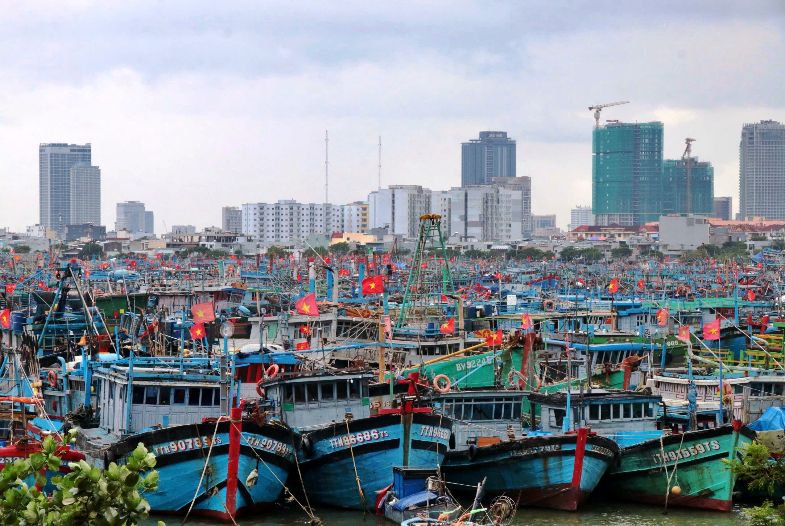 Đà Nẵng tính di dời cảng cá Thọ Quang, mở đường hình thành cảng du lịch- Ảnh 1.