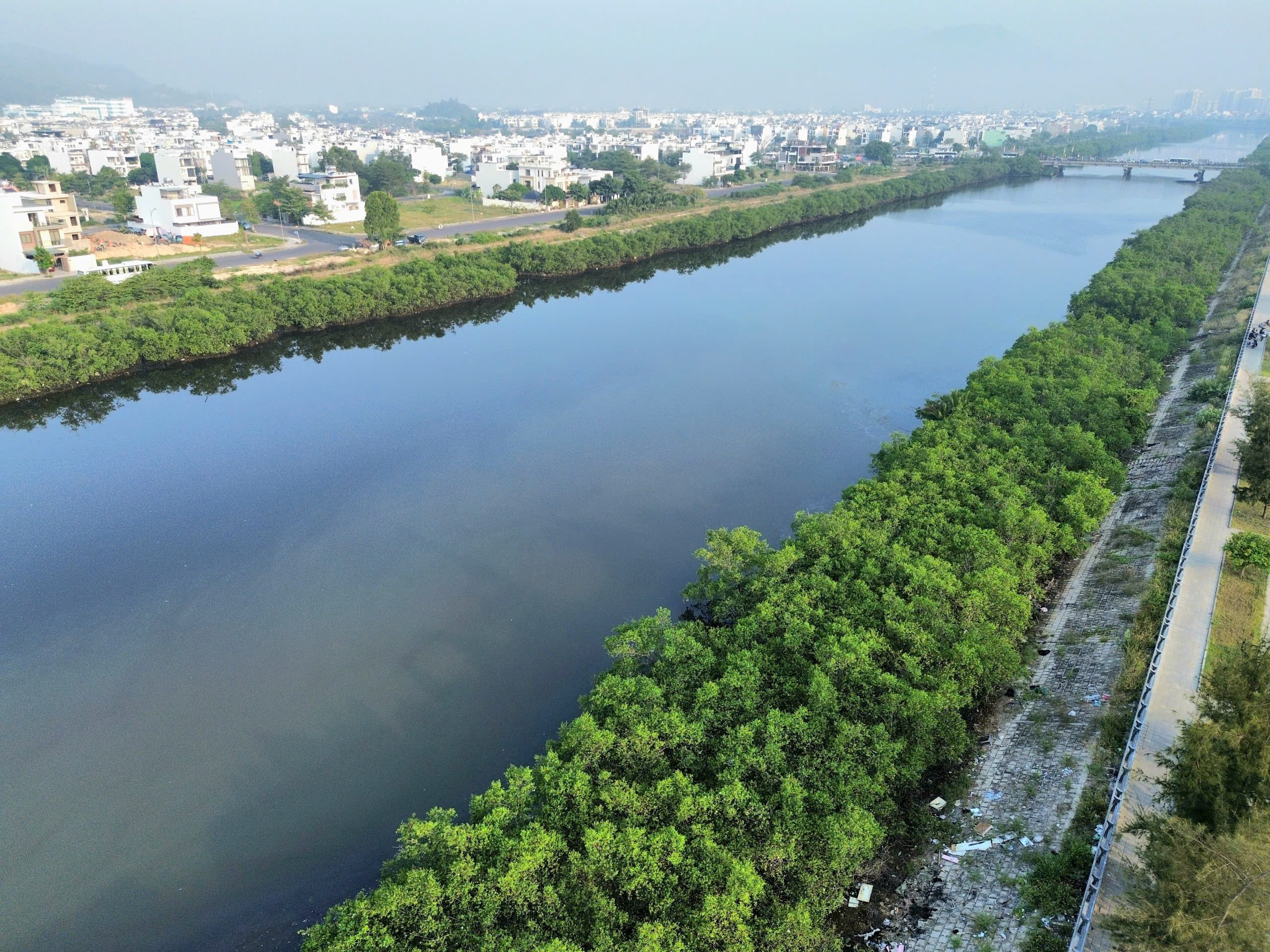 Dự án kè sông 590 tỉ ở Nha Trang ‘đứng bánh’ 5 năm vì... hai hàng cây - Ảnh 2.