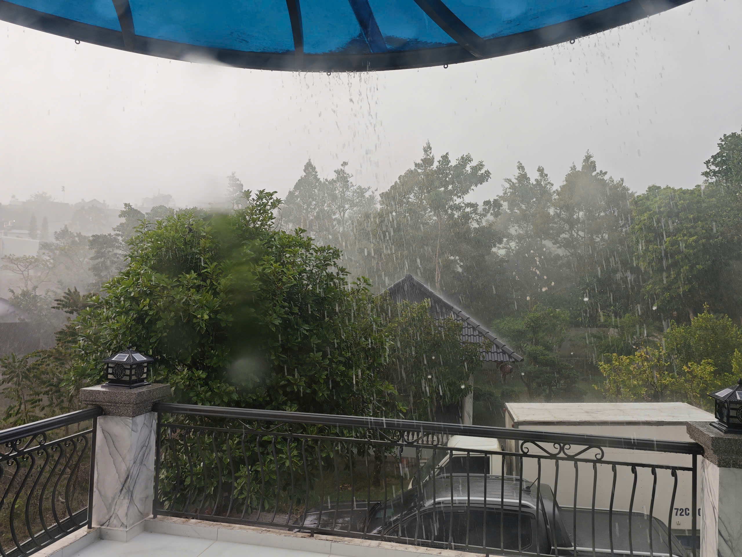 'Mưa vàng' giải nhiệt ở một số khu vực - Ảnh 2. 'Mưa vàng' giải nhiệt ở một số khu vực - Ảnh 2.