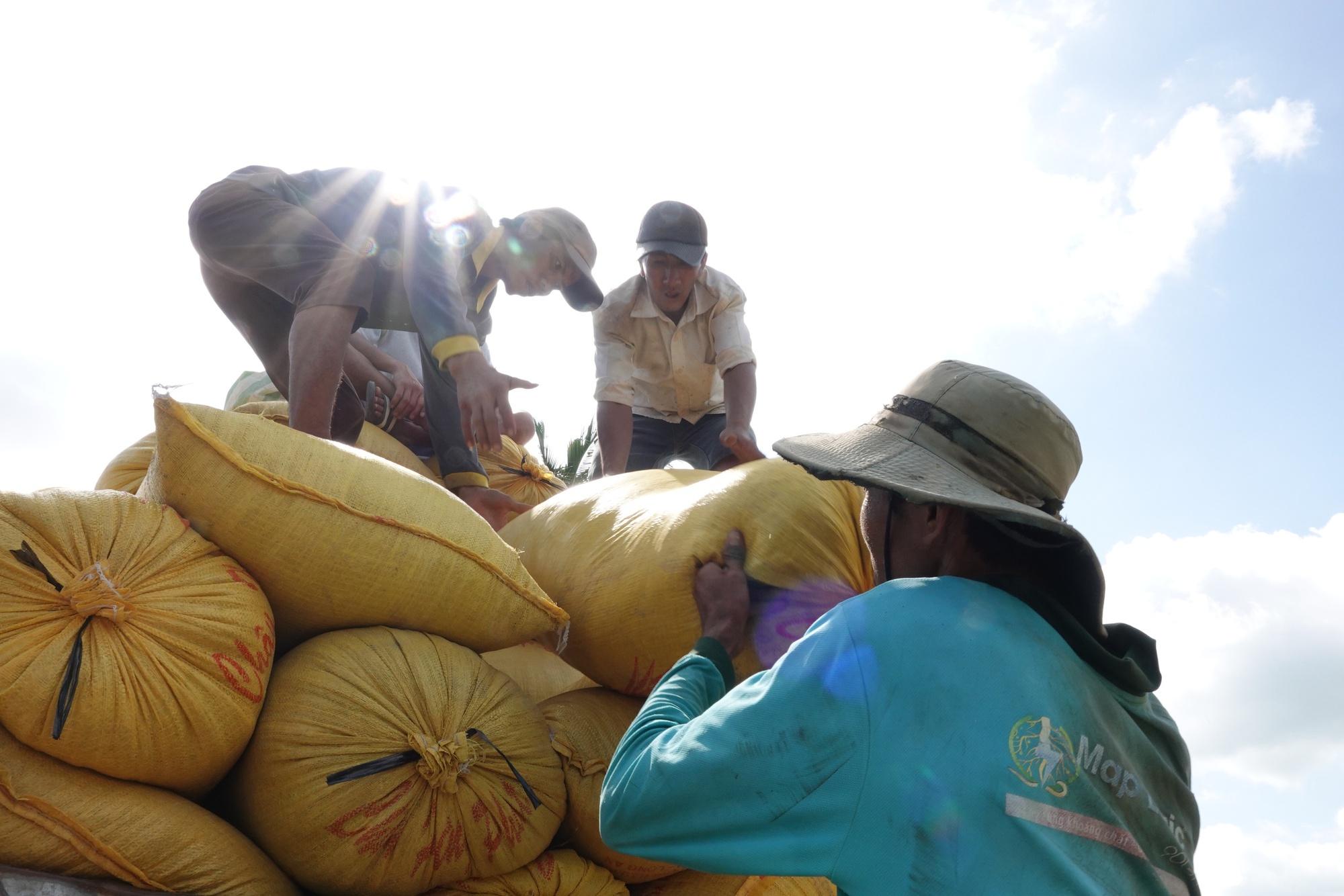 Philippines điều tra tự vệ, gạo Việt có bị ảnh hưởng?- Ảnh 2.