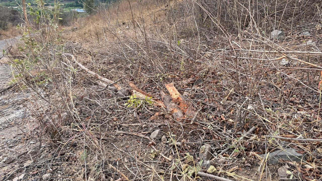 Xe tải lao xuống vực ở Lâm Đồng: Vệt trượt hơn 200 m - Ảnh 2.