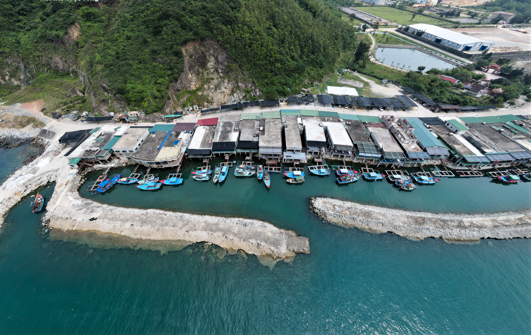 Mùa lộc biển: Theo chân ngư dân săn 'vàng đen'- Ảnh 3.