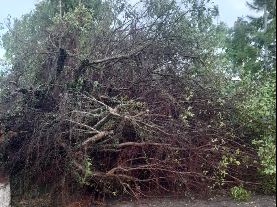 Lốc xoáy tại Bảo Lộc gây tốc mái nhà nhiều nhà dân- Ảnh 2.