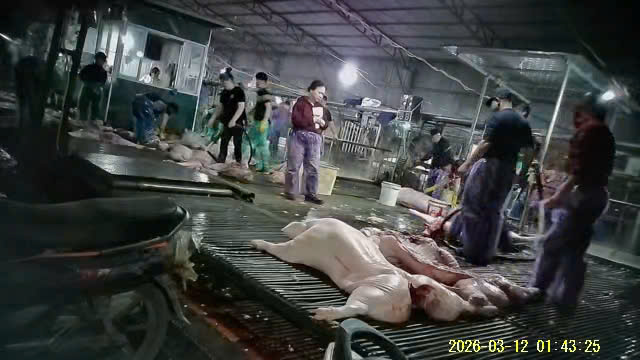 Vụ 300 tấn thịt lợn bẩn Giám đốc Công an Hà Nội hứa không bỏ qua tội phạm - Ảnh 2. Vụ 300 tấn thịt lợn bẩn Giám đốc Công an Hà Nội hứa không bỏ qua tội phạm - Ảnh 2.