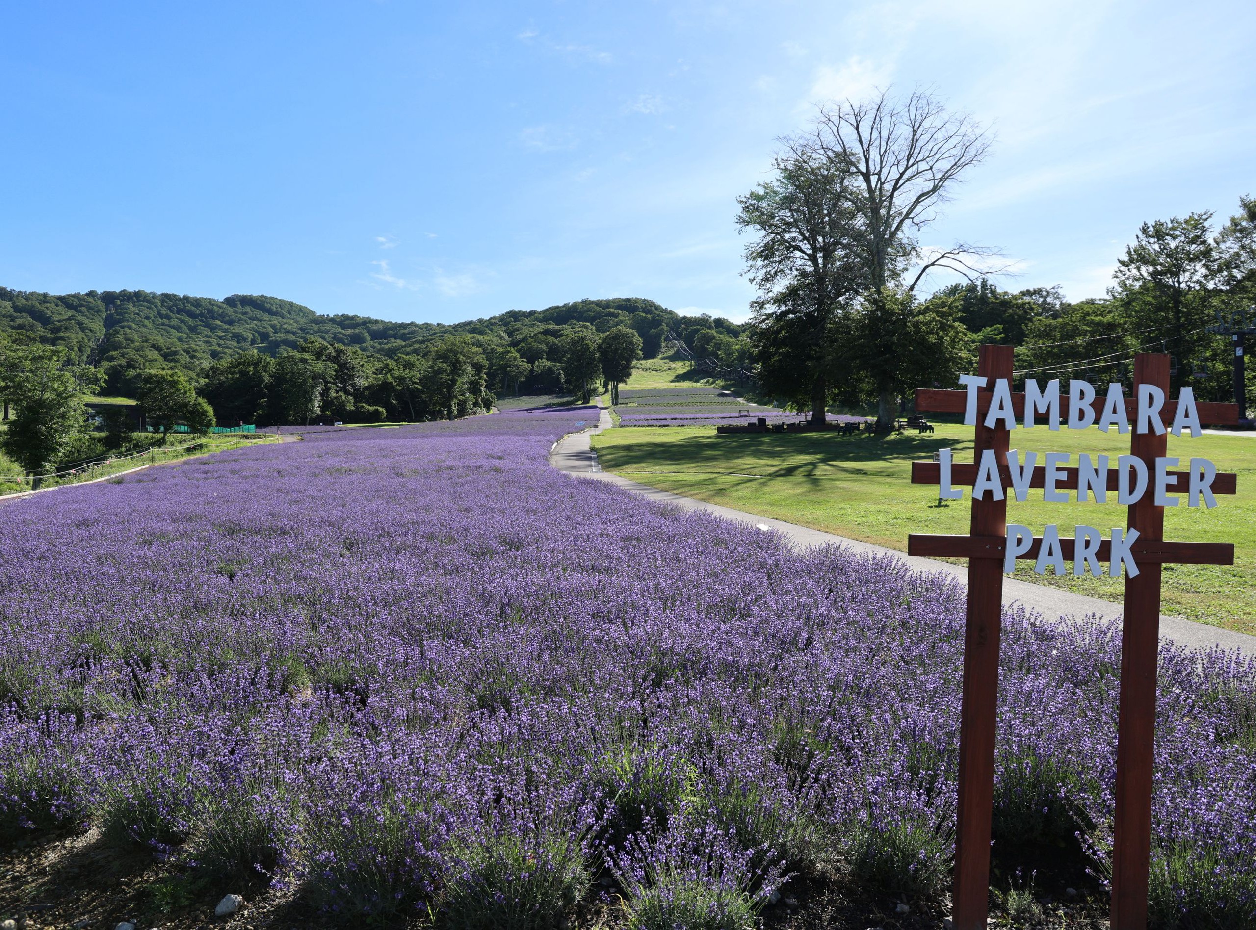 Nhật Bản - Ảnh 3.