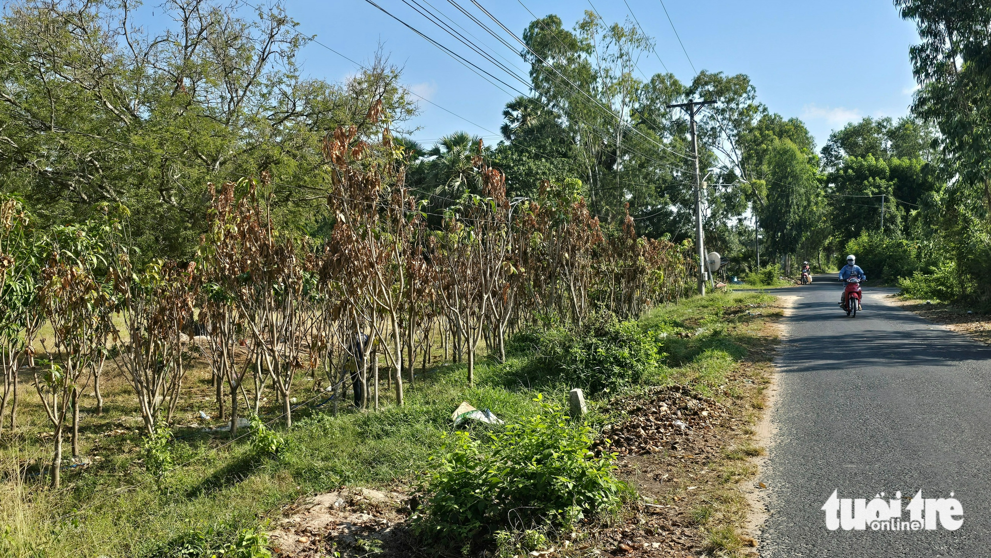 cao tốc - Ảnh 1.