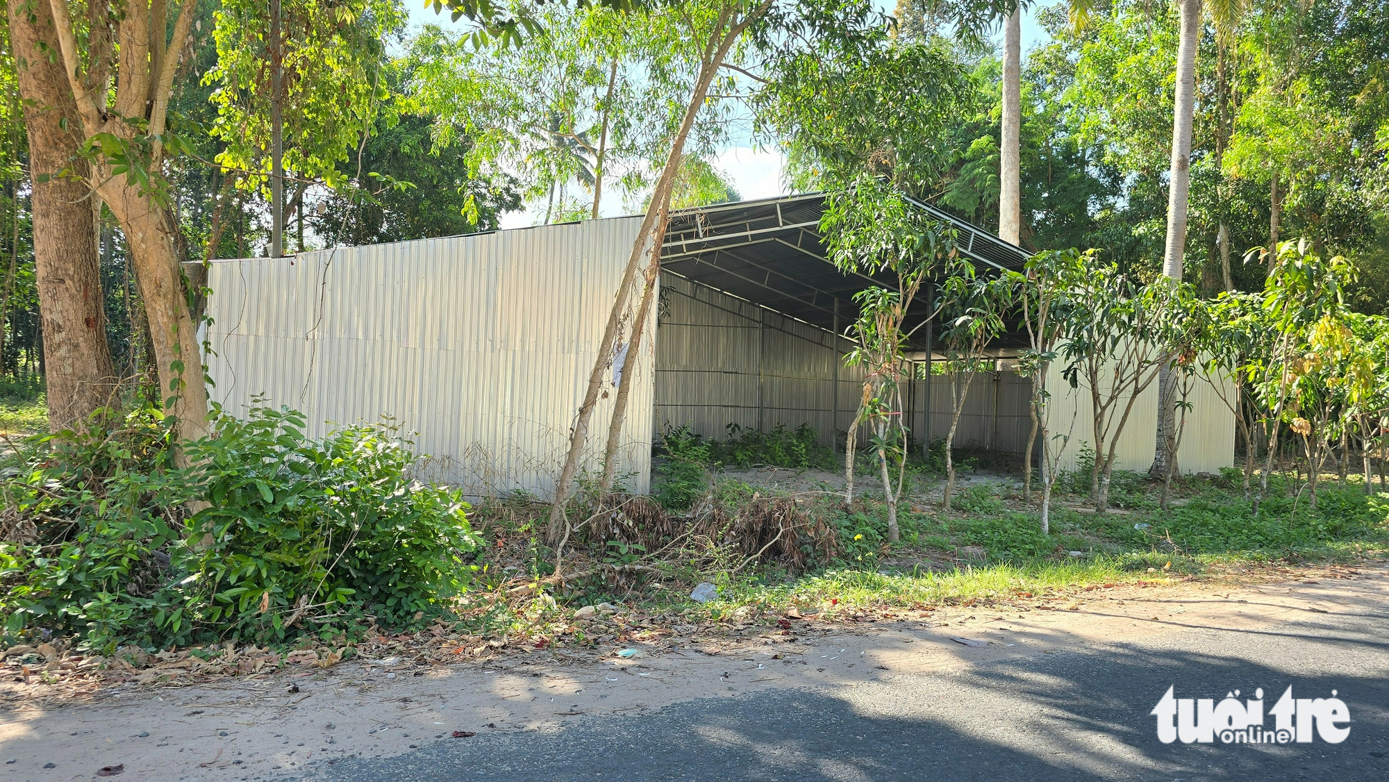 cao tốc - Ảnh 3.