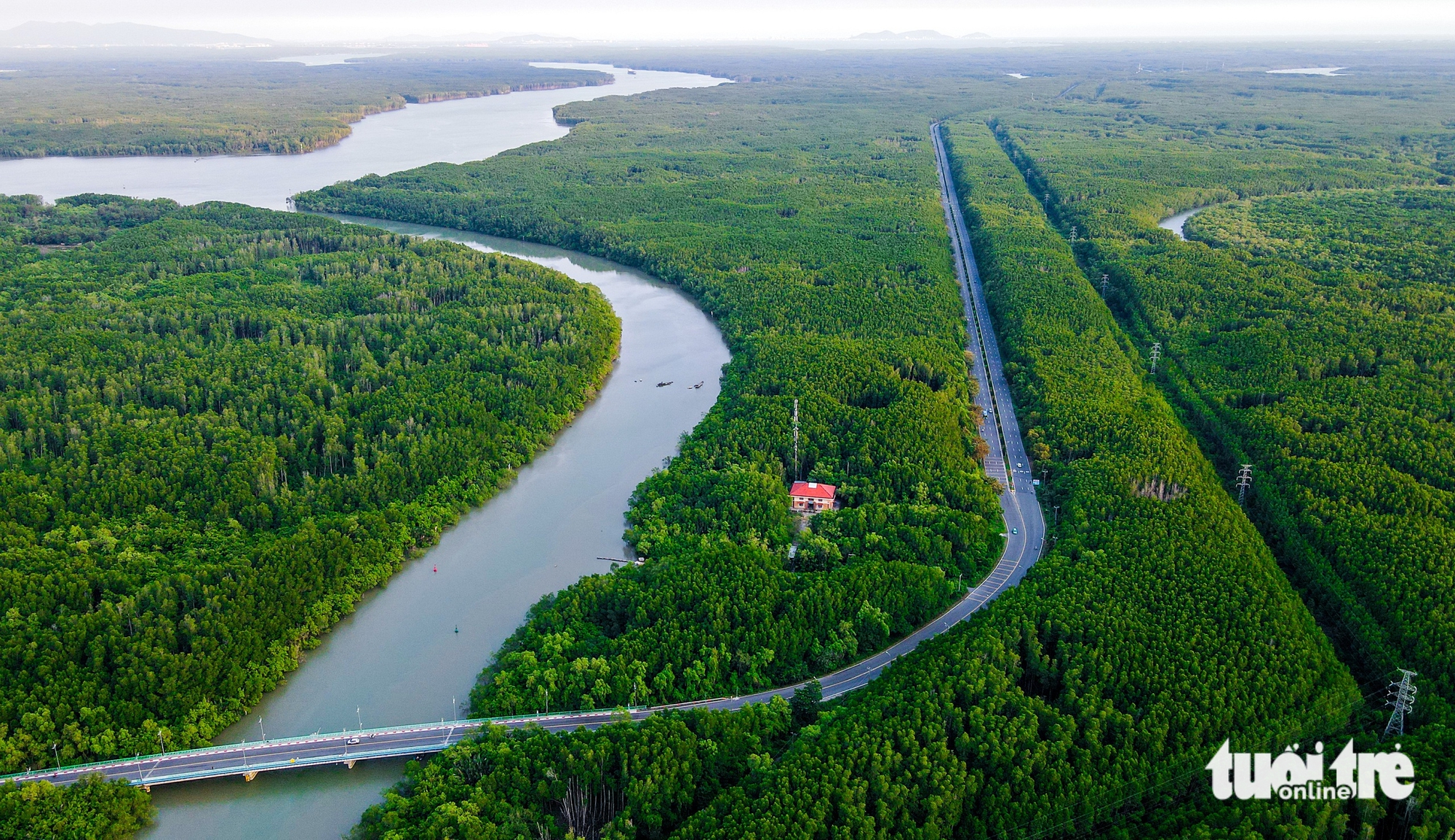 Rừng Sác - Ảnh 6.