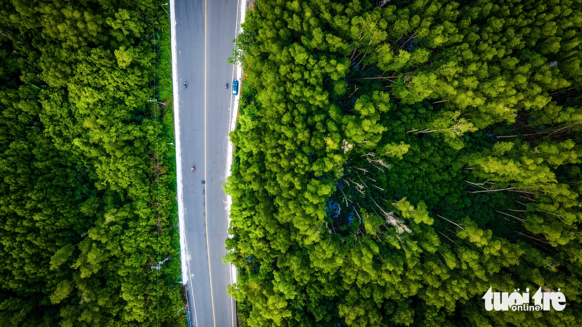 Rừng Sác - Ảnh 7.