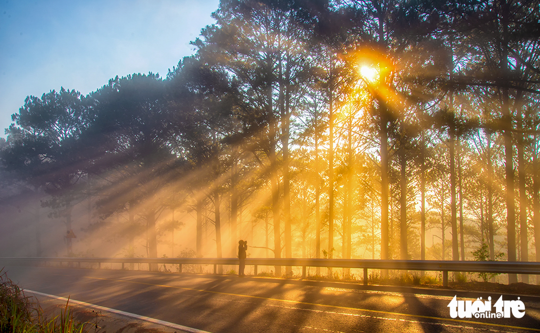 đà lạt - Ảnh 2.