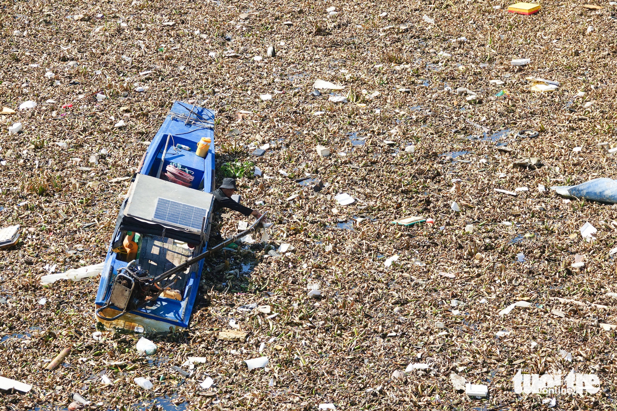 ô nhiễm môi trường - Ảnh 1.