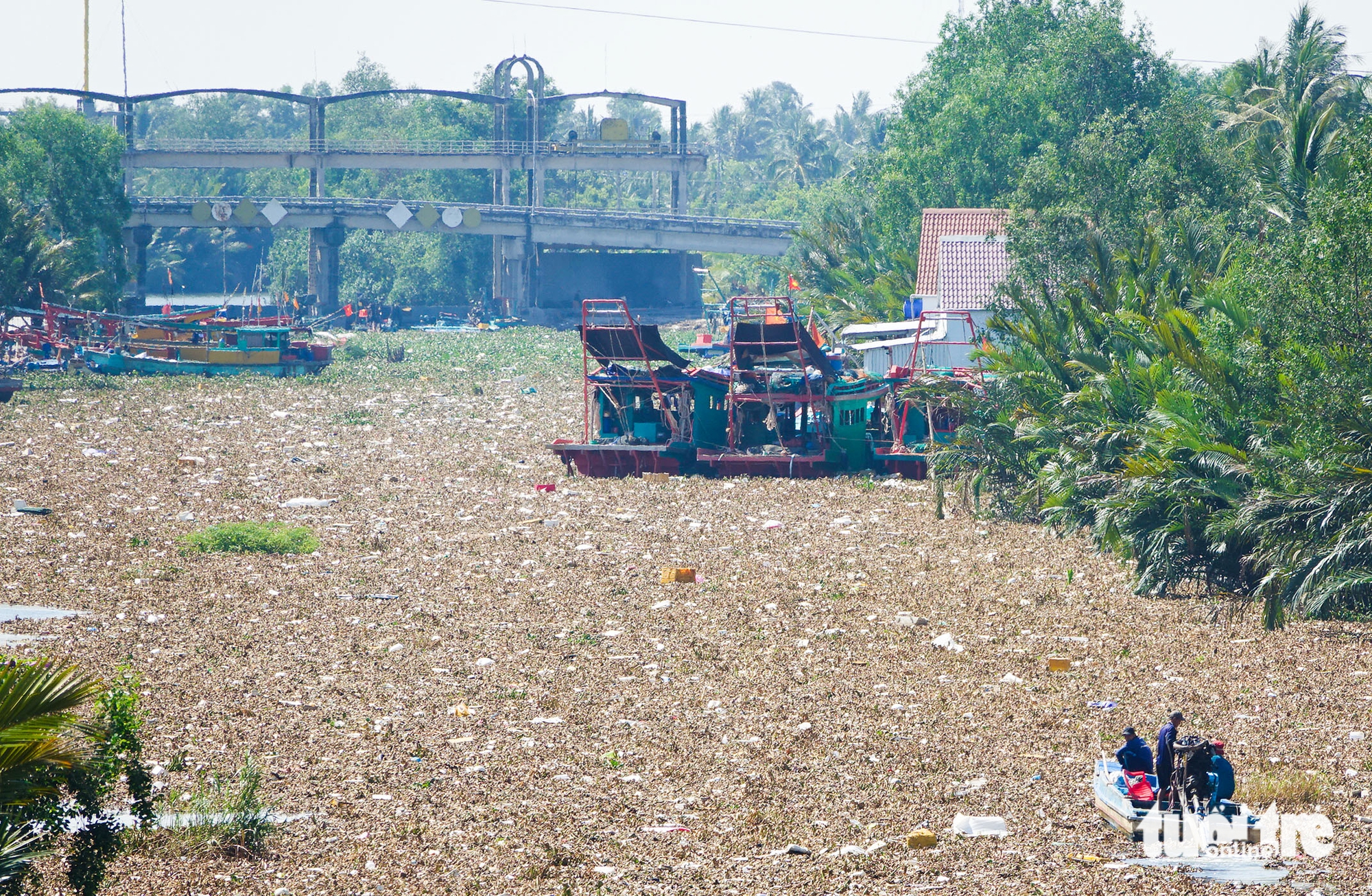 ô nhiễm môi trường - Ảnh 2.