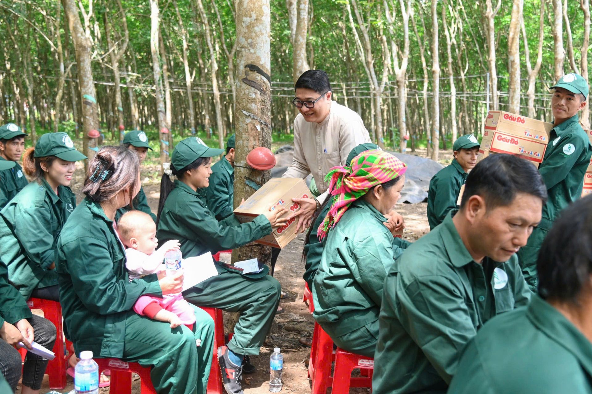 cao su Việt Nam - Ảnh 1.