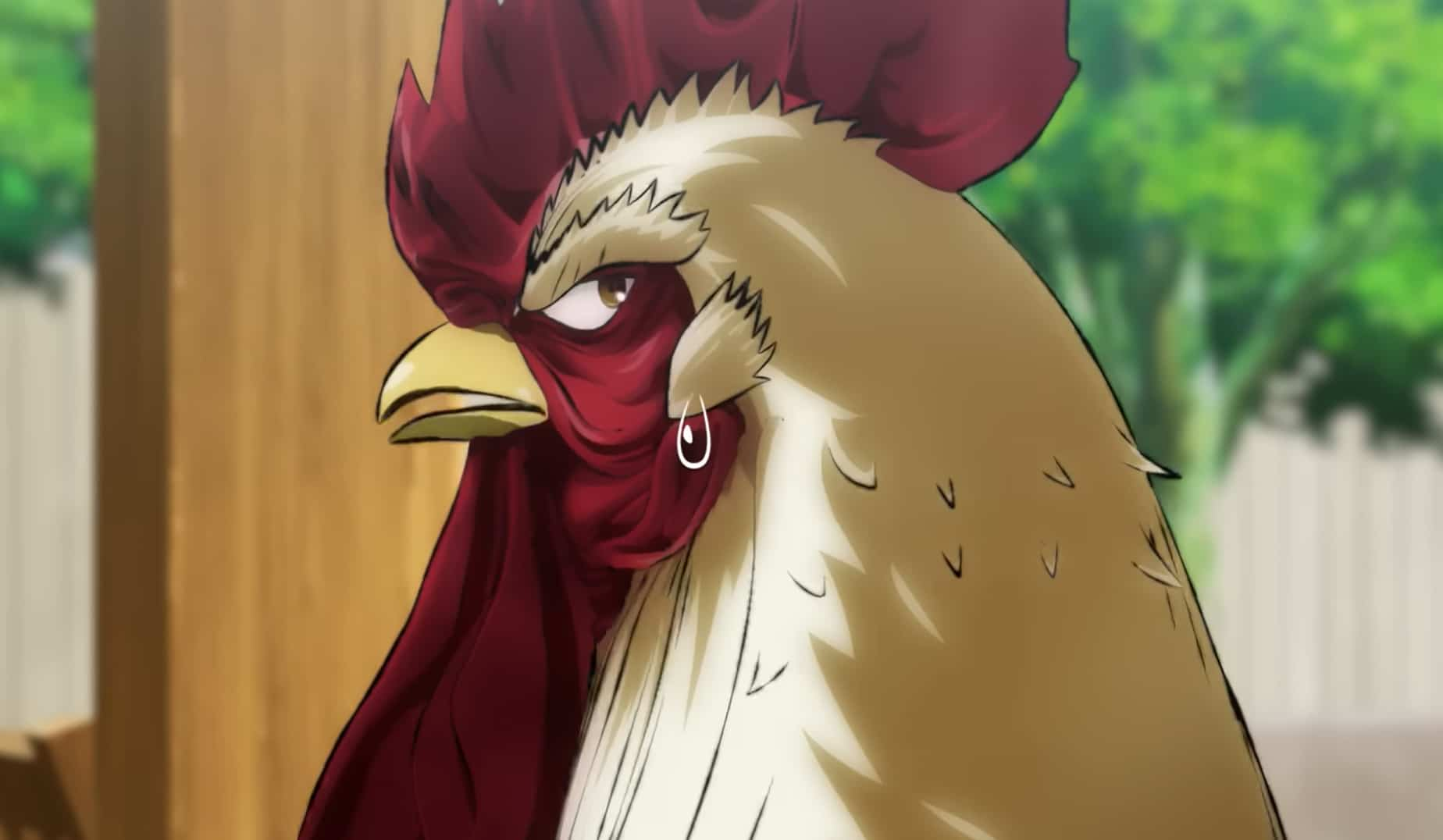 Rooster Fighter - Ảnh 2.