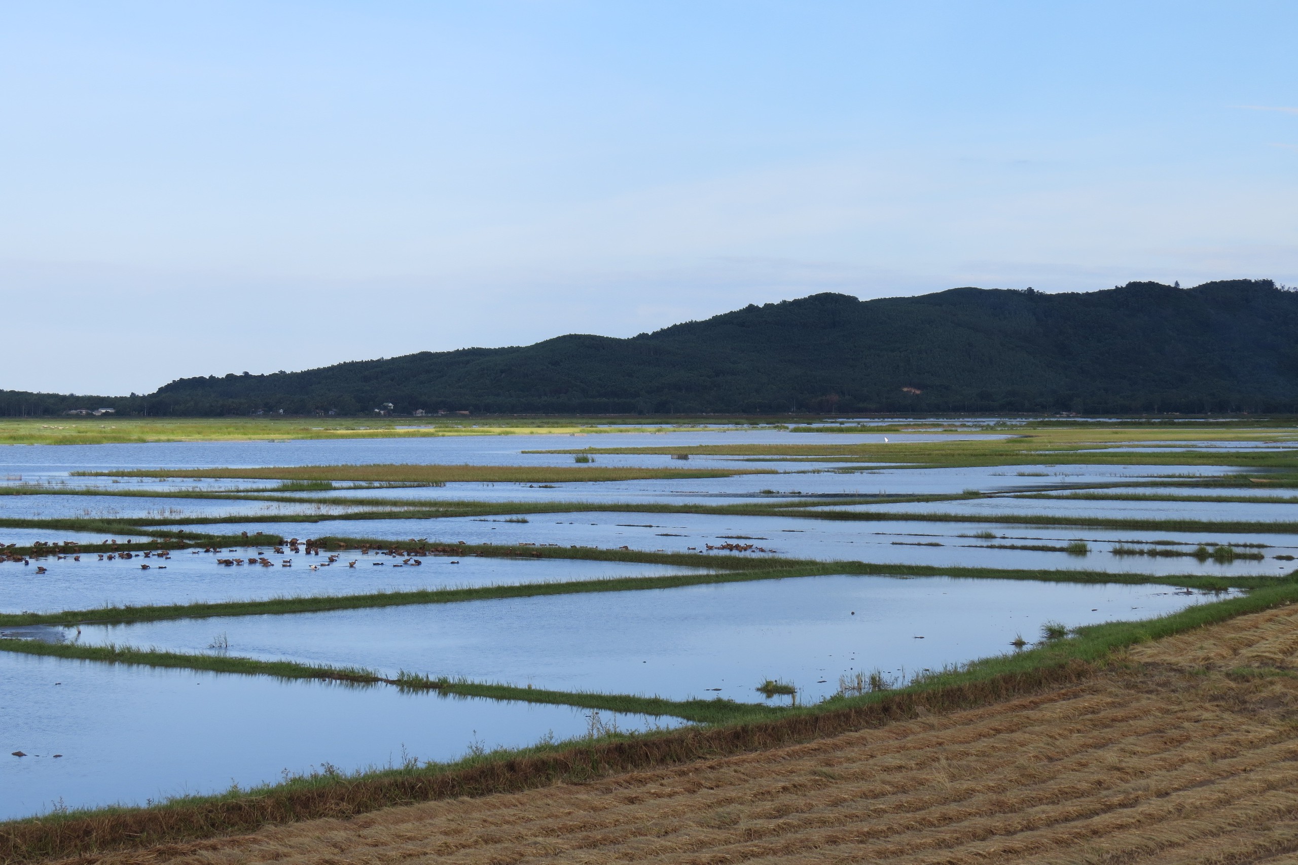 điện mặt trời - Ảnh 2.