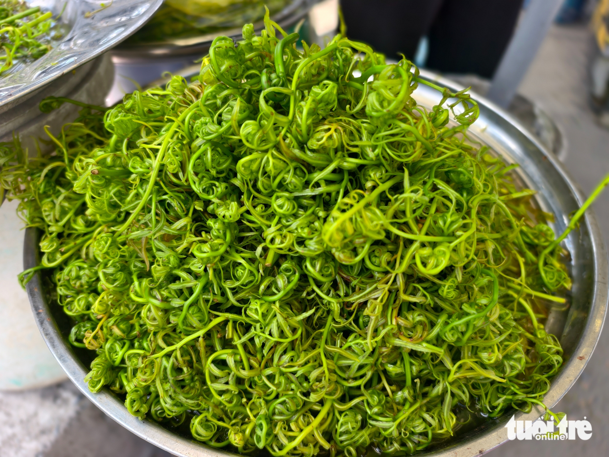 đọt choại - Ảnh 7.