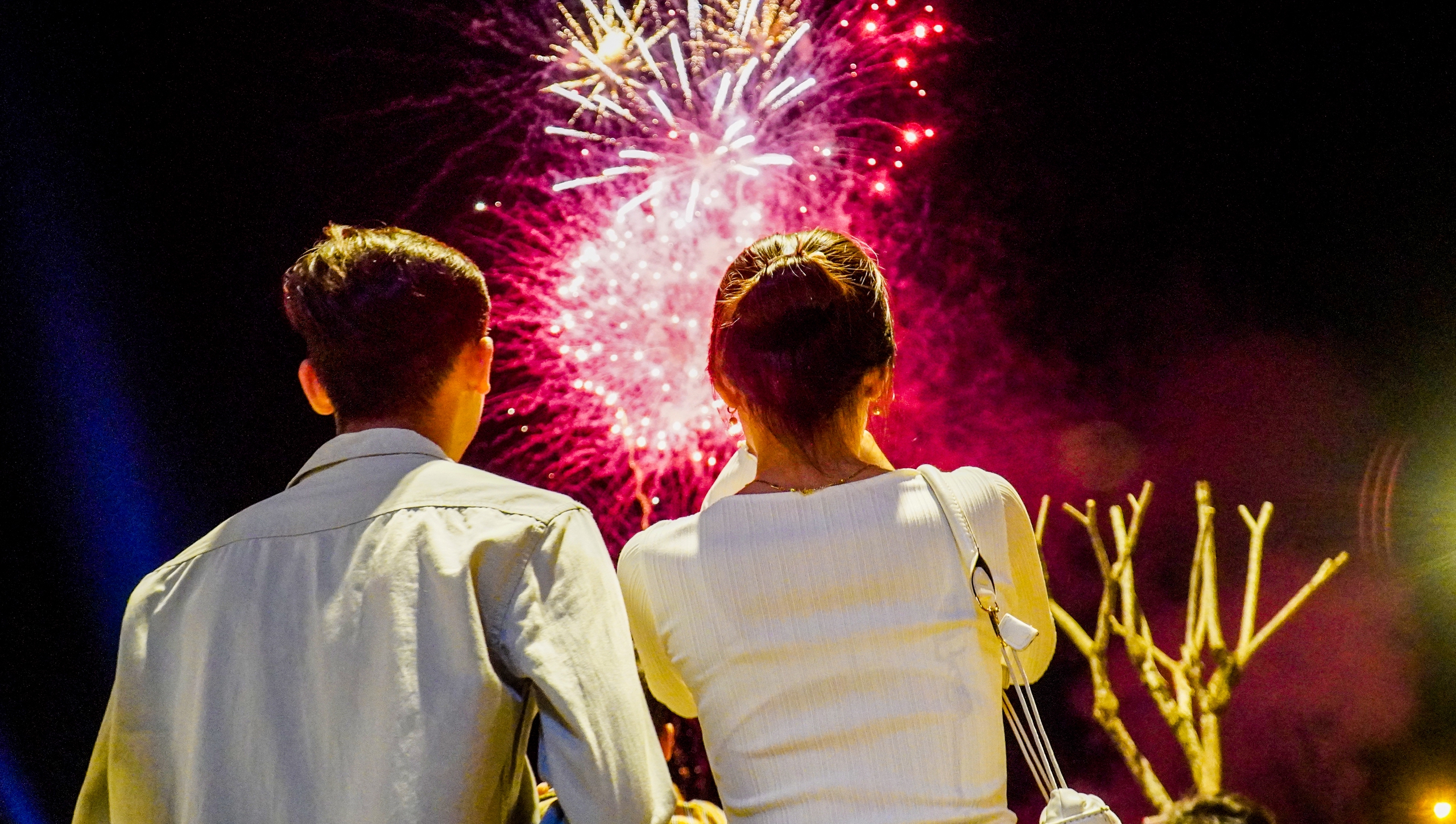 PHÁO HOA - Ảnh 1.