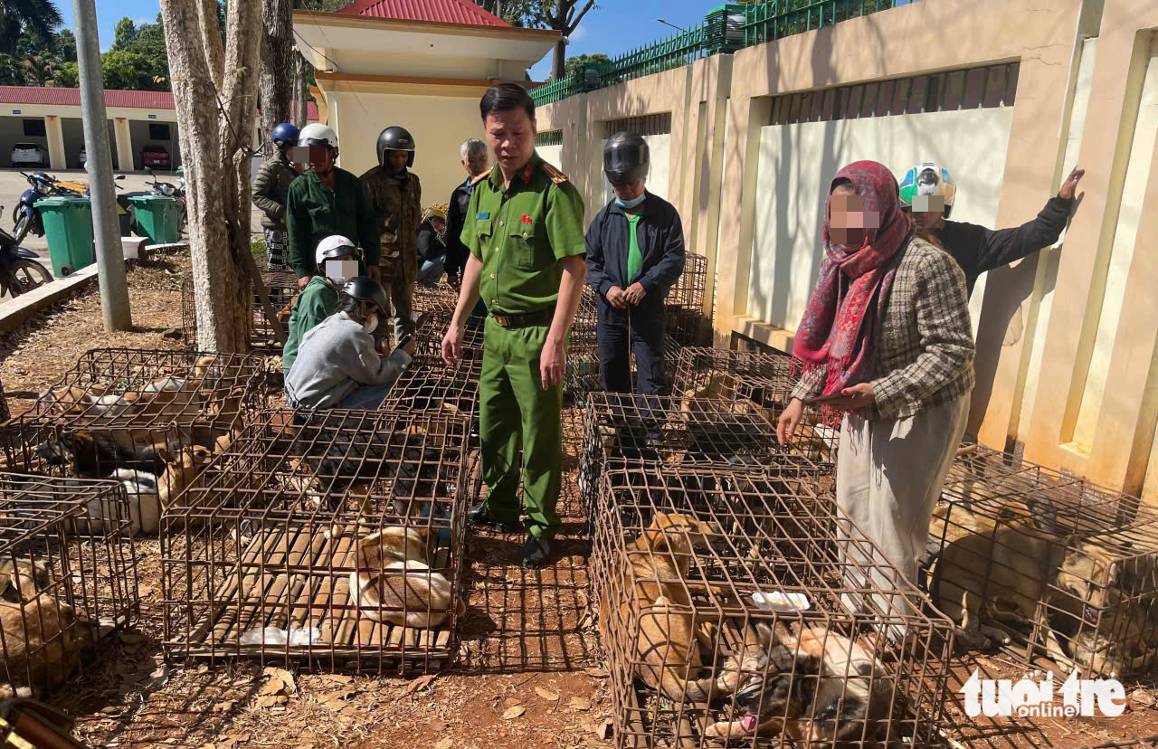 Khởi tố - Ảnh 1.