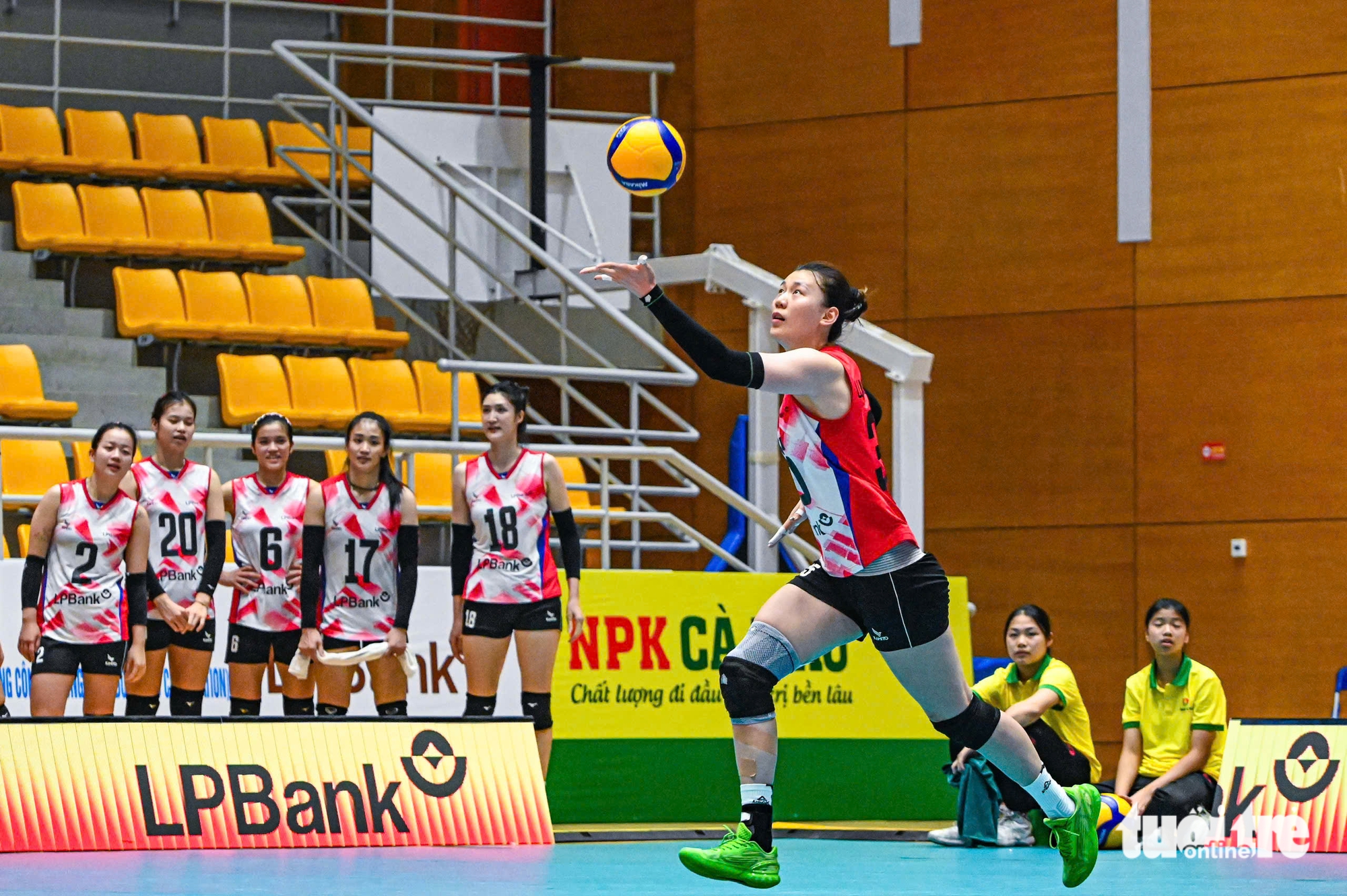 VTV Bình Điền Long An - Ảnh 3.